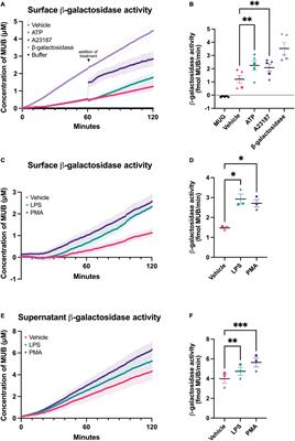 Activated microglia release β−galactosidase that promotes inflammatory neurodegeneration